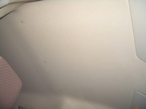 CIMG8113 (640x480) CIMG8113 640x480 300x225